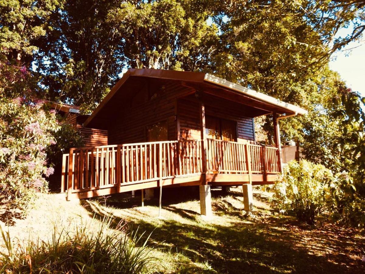 Cabanas San Gerardo San Gerardo de Dota Eksteriør bilde