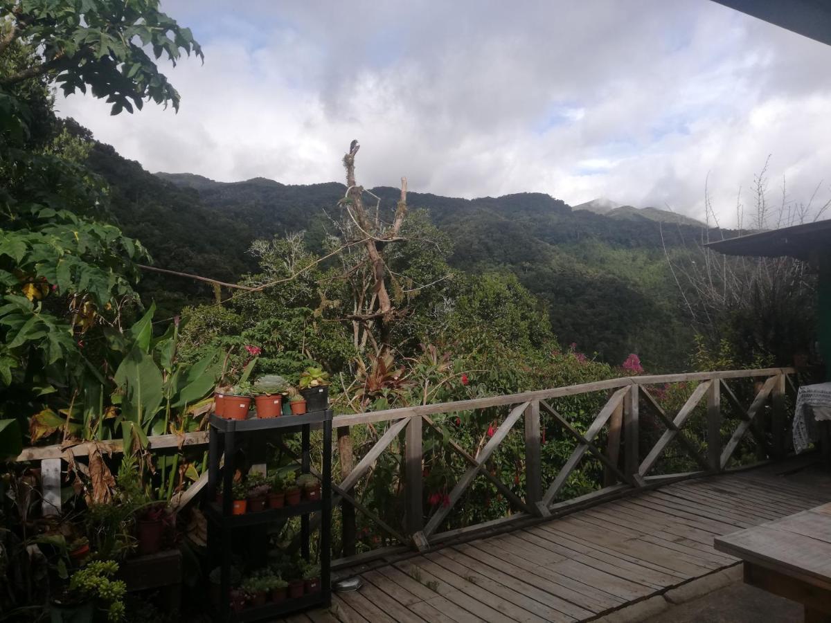 Cabanas San Gerardo San Gerardo de Dota Eksteriør bilde